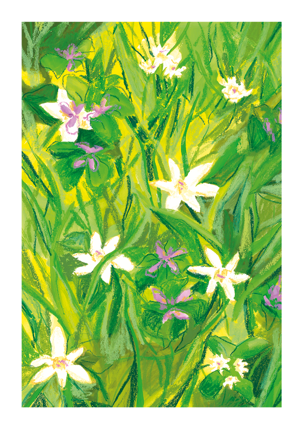 Print Heldere Lente
