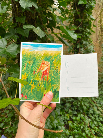 Adventure at the beach - postcard set