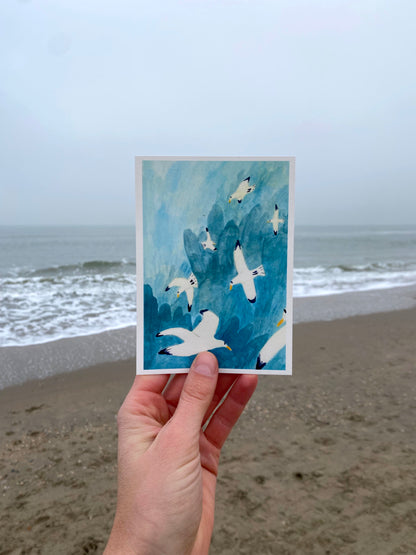 Birds and the North Sea - postcard set